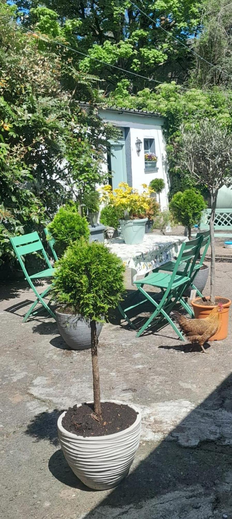 Saint Martin'S Bed And Breakfast バンドン エクステリア 写真