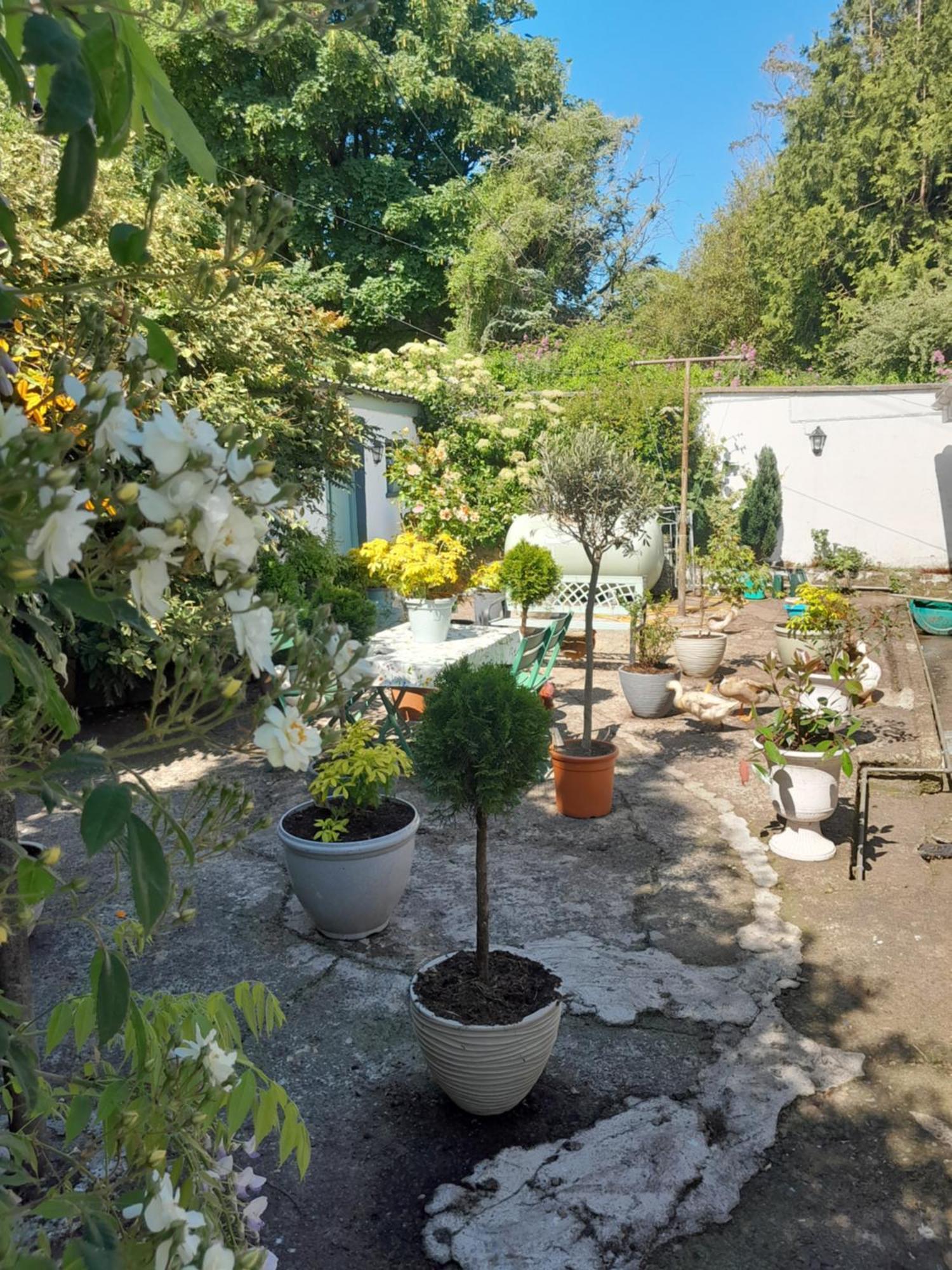 Saint Martin'S Bed And Breakfast バンドン エクステリア 写真
